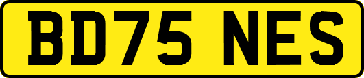 BD75NES