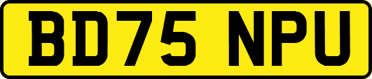 BD75NPU