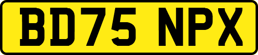 BD75NPX