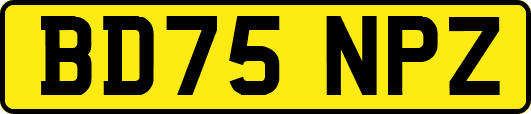 BD75NPZ