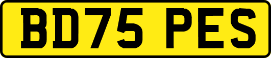 BD75PES