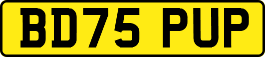 BD75PUP