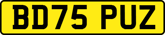 BD75PUZ