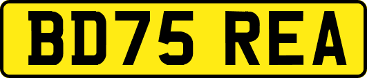 BD75REA