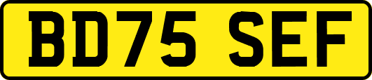 BD75SEF