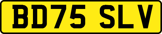 BD75SLV