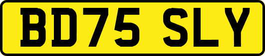 BD75SLY