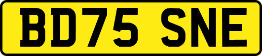BD75SNE