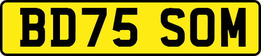 BD75SOM