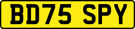 BD75SPY