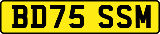 BD75SSM