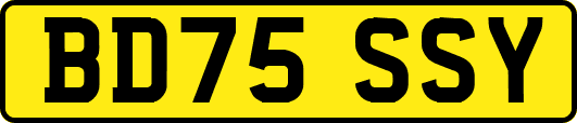 BD75SSY