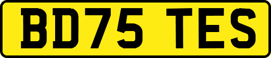BD75TES