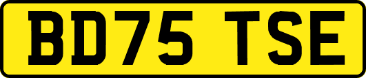 BD75TSE