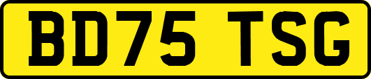 BD75TSG