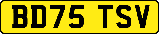 BD75TSV