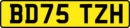 BD75TZH
