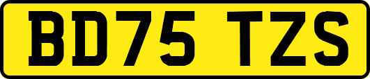 BD75TZS