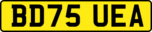 BD75UEA