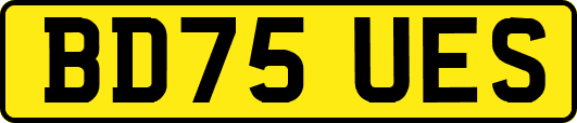 BD75UES