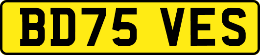 BD75VES