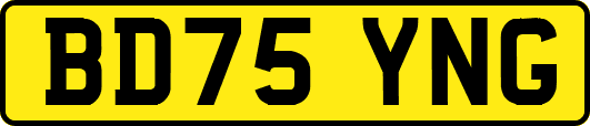BD75YNG