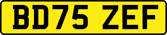 BD75ZEF