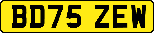 BD75ZEW