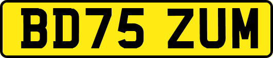 BD75ZUM