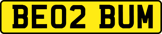 BE02BUM