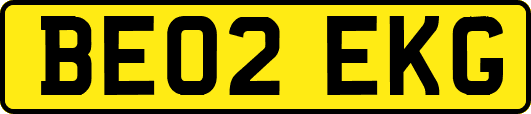BE02EKG