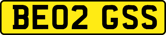 BE02GSS