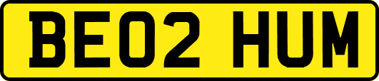 BE02HUM