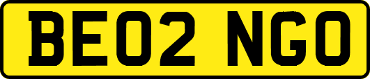 BE02NGO