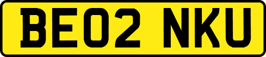 BE02NKU