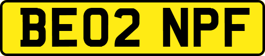 BE02NPF