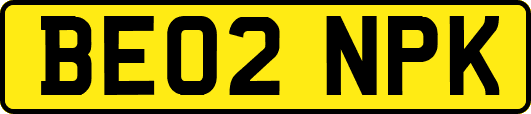 BE02NPK