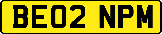 BE02NPM