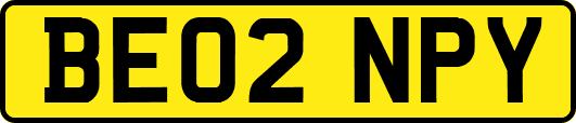 BE02NPY