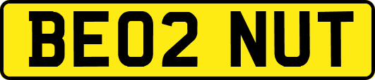BE02NUT