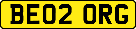 BE02ORG
