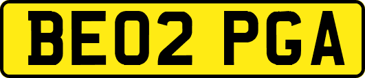 BE02PGA