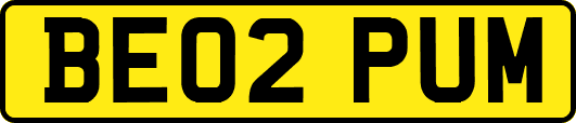 BE02PUM