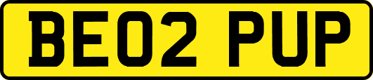 BE02PUP