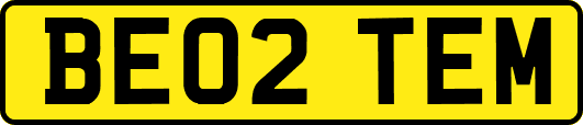 BE02TEM