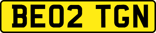 BE02TGN