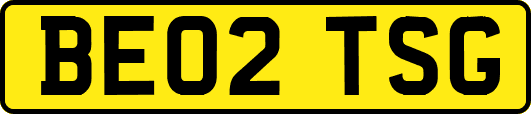 BE02TSG