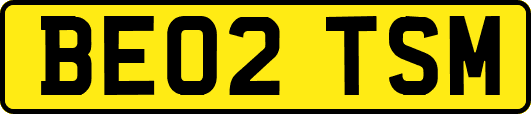 BE02TSM