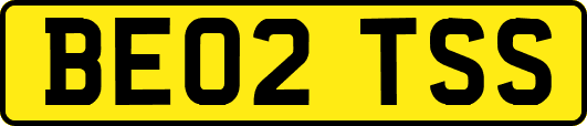 BE02TSS