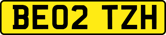 BE02TZH
